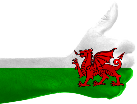 Wales-domain,Wales-domains,Wales,.Wales